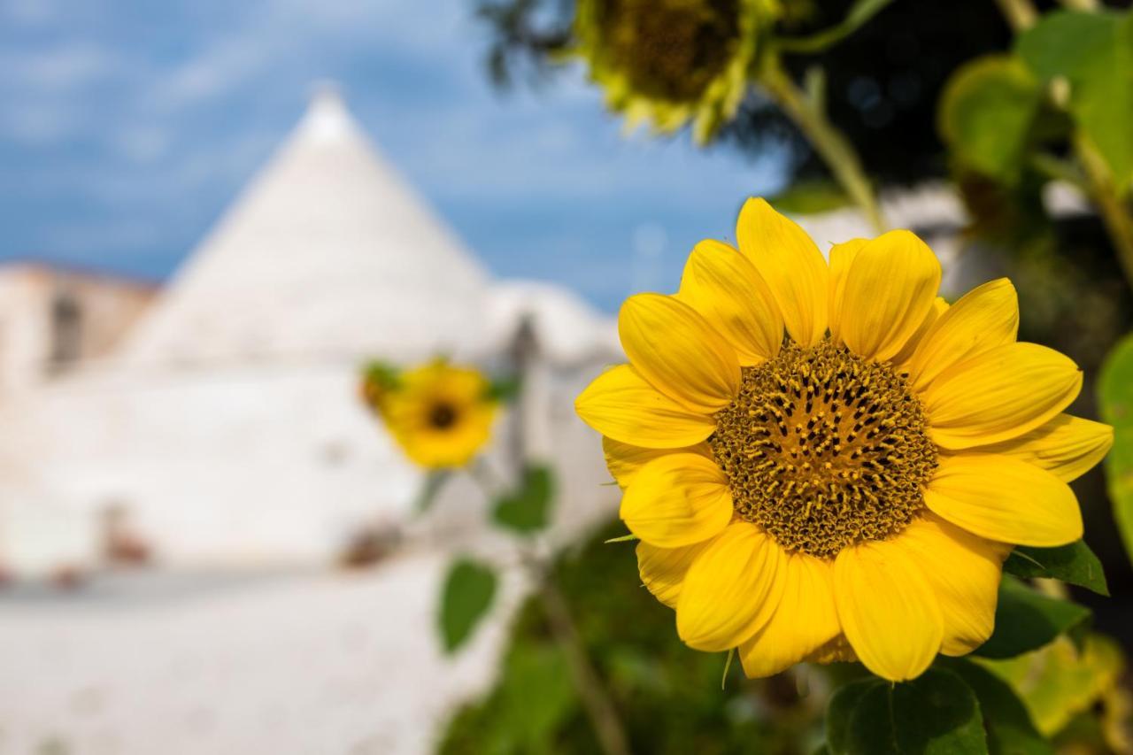 Masseria Mezza Ruota Alberobello Exteriör bild